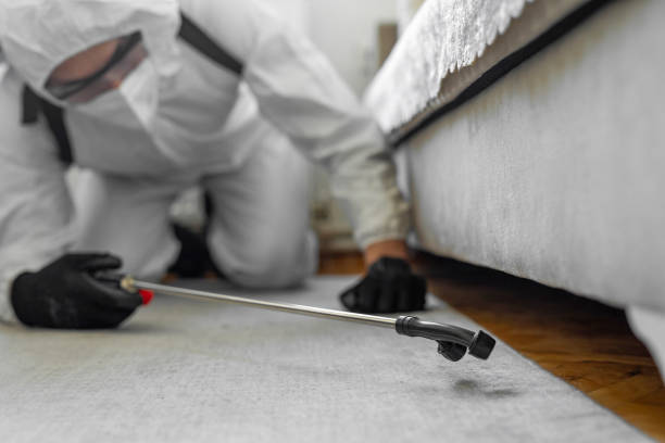 Professional Mosquito Control technician working in Limestone, IL