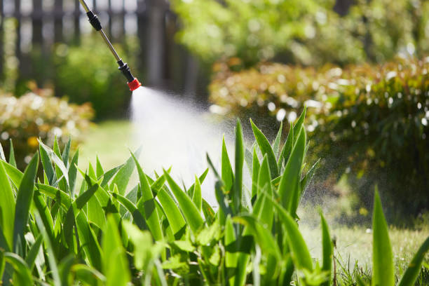 24/7 Emergency Mosquito Control experts in Limestone, IL
